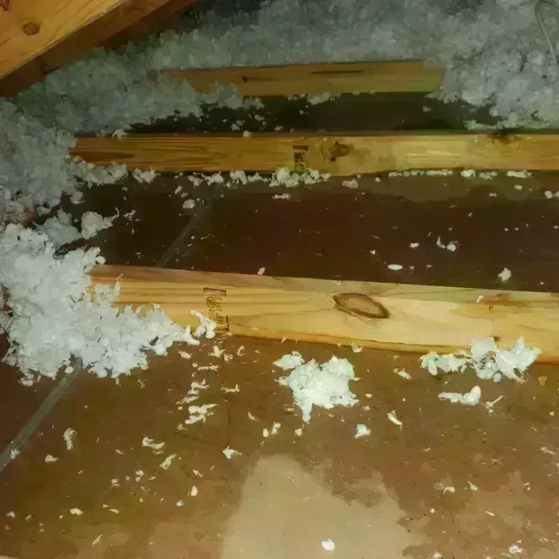 Attic Water Damage in Haskell, TX