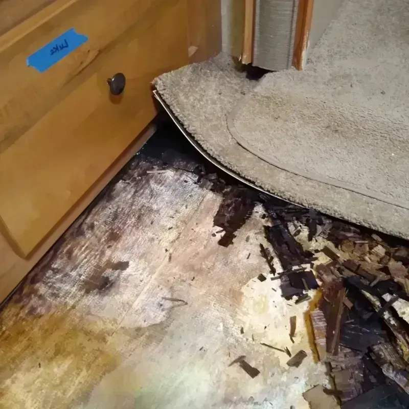 Wood Floor Water Damage in Haskell, TX